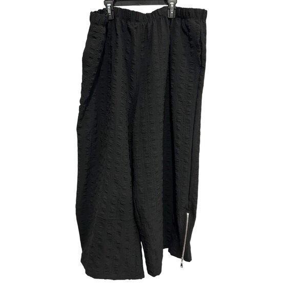 IC By Connie K Black Textured Wide-Leg Pants Zipper Detail Sz 3X - Picture 1 of 9